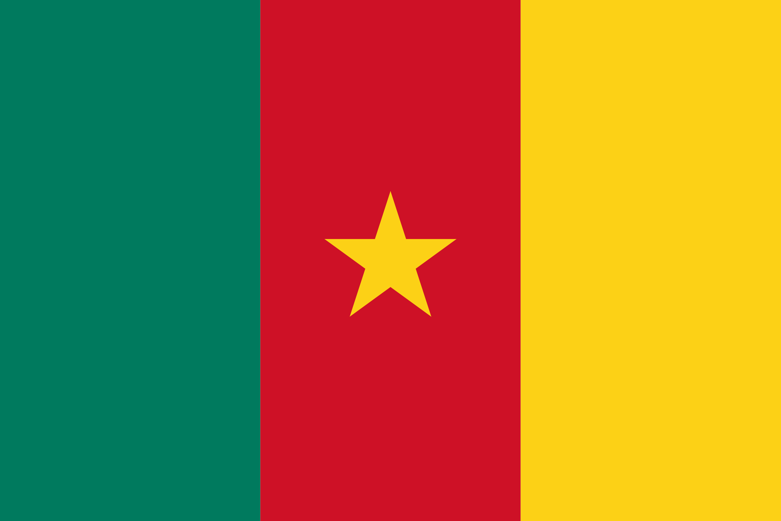 CM Flag