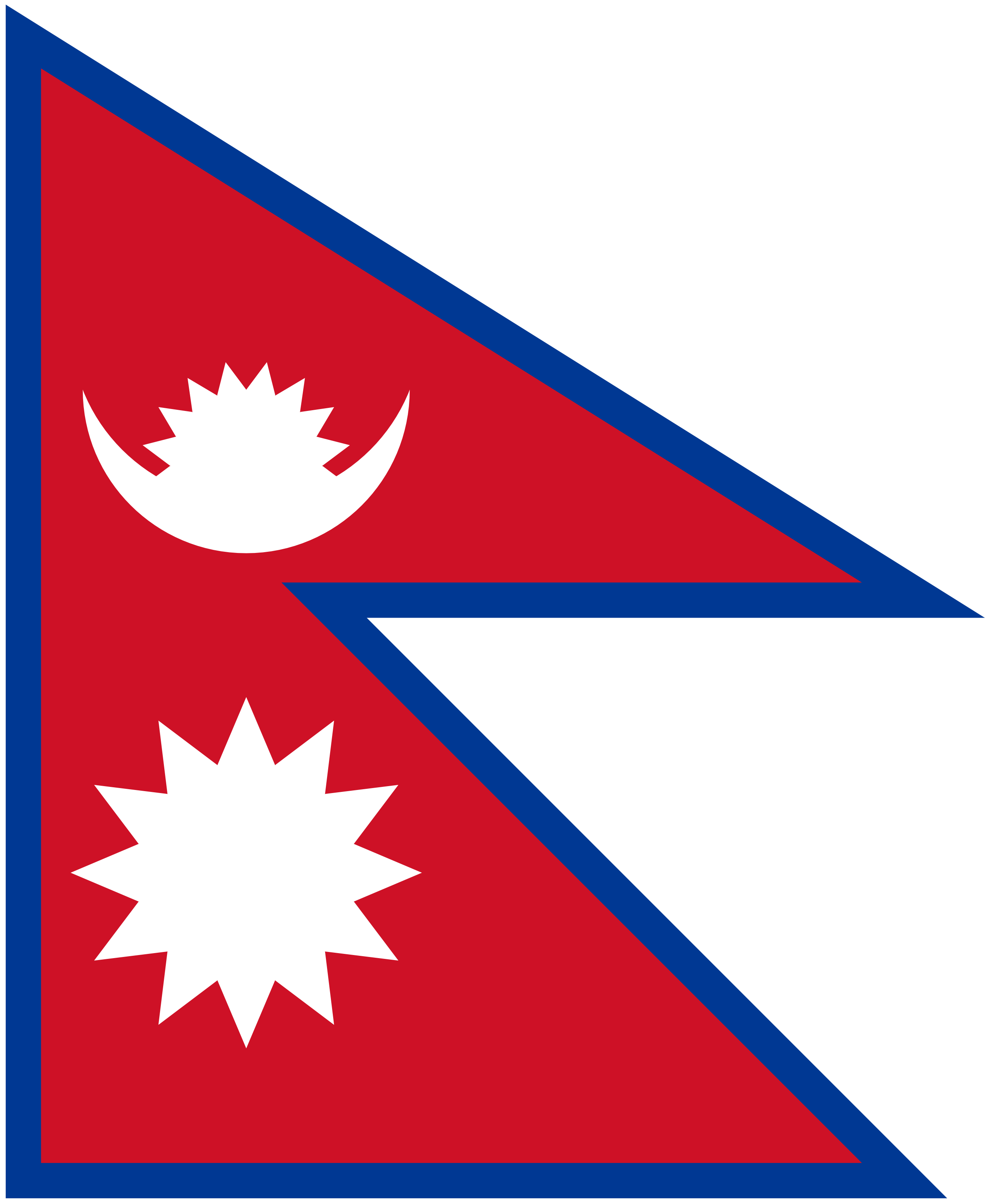 NP Flag
